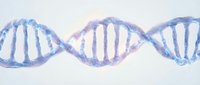 DNA double helix structure in blue and purple tones on white background, suitable for medical, scientific, educational, and biotechnology design projects.