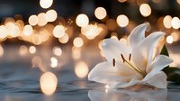 Delicate white lily flower floating on water surface with golden bokeh lights creating magical atmosphere. Serene spa and wellness concept.