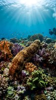 Vibrant coral reef ecosystem with colorful marine life and sunlight rays penetrating crystal clear tropical waters creating underwater paradise scene.
