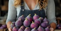 Fresh purple figs held by woman in denim apron, showcasing seasonal harvest from local farm. Perfect for food photography.