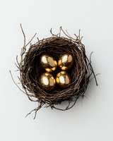 Golden eggs nestled in natural twig nest against white background, symbolizing wealth, investment, and financial security.