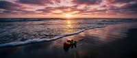 Romantic sunset beach scene with red roses on wet sand as gentle waves wash ashore under dramatic purple and orange sky for wedding and love concepts.