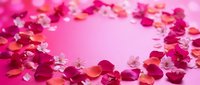 Romantic pink background with scattered rose petals creating elegant frame border for Valentine's Day, wedding invitations, love cards and feminine design projects.