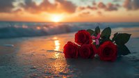 Red roses lying on wet sand at sunset beach with golden sun reflection on water, dramatic orange sky and clouds creating romantic atmosphere.