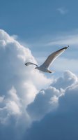 Graceful seagull soaring through bright blue sky with fluffy white clouds, wings spread wide in flight, capturing freedom and natural beauty in summer weather.