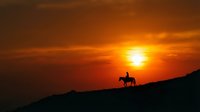 Silhouette of a cowboy riding a horse on a hilltop against a dramatic golden sunset sky with warm orange and amber tones, suitable for western themes and travel concepts.