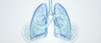 Transparent lungs with bronchial tree structure and circulatory system, isolated on white background for medical education, healthcare design, respiratory system illustration, and clinical presentations.