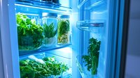 Fresh herbs and greens stored in glass jars with water inside refrigerator shelves, illuminated by cool blue light, showing modern food preservation method.