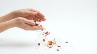 Caucasian woman's hand releasing dried flower petals and botanical fragments against white background, suitable for wellness, beauty, skincare, and natural product marketing.