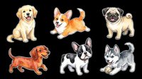 Cute dog breeds collection isolated on transparent background, ready for t-shirt design, clipart, stickers, print-on-demand products and sublimation projects.