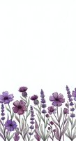 Purple wildflower border with lavender and cosmos on white background for botanical design projects and natural decoration elements.
