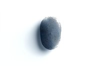 Detailed fingerprint pattern with concentric ridges and loops cast in dramatic shadow on white background, isolated biometric security element.