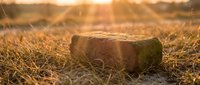 Ancient weathered stone resting in golden grassland during warm sunset light creating peaceful natural landscape scene for meditation and tranquility concepts.