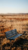 Abandoned wooden bench sitting alone in vast dry field with golden stubble and blurred horizon, conveying solitude and desolation for editorial and conceptual projects.