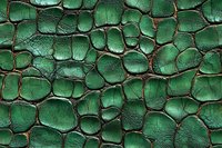 Emerald green leather texture with crocodile pattern and dark cracks creating luxurious reptilian surface effect. Seamless background for fashion and luxury design projects.