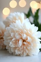 Delicate cream-colored dahlia bloom with soft petals against blurred bokeh lights background, featuring gentle peach undertones and green foliage for wedding designs.