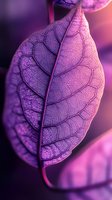 Macro photography of leaf veins and texture in vibrant purple and pink tones showing intricate natural patterns and delicate organic structure. For nature and botanical designs.