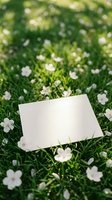 Blank white card lying on fresh green grass surrounded by delicate white flower petals in soft natural sunlight for spring messaging and design.