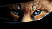 Mysterious close up view of fox eyes with bright blue irises and golden brown fur against dark background, artistic wildlife portrait for nature publications.