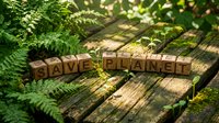 Wooden letter cubes spelling Save Planet on a mossy rustic surface surrounded by lush green ferns and plants in natural sunlight.