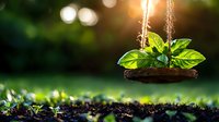 Fresh basil plant growing on wooden swing against blurred garden background with bokeh lights and soil beneath, concept of organic gardening and growth.