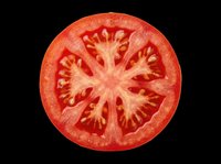 Fresh red tomato slice isolated on transparent background, ready for food clipart, stickers, t-shirt design, print on demand, and sublimation projects.