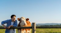 Male farmer in blue checkered shirt standing with brown and white cow at wooden fence in rural pasture landscape for agricultural and livestock industry use.