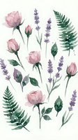 Watercolor botanical elements with pink roses, purple lavender and green fern leaves isolated on white background for floral design projects.