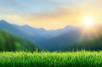 Fresh green grass close-up against blurred mountain landscape background at sunset with sun rays and soft bokeh effect, nature scenery for environmental themes.