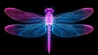 Glowing neon dragonfly silhouette with gradient pink to blue wings on black background, detailed wing structure and segmented body creating magical effect.