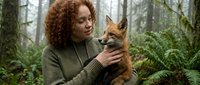 Young mixed-race woman with curly hair gently holding red fox in misty forest. Wildlife conservation, nature connection, environmental protection concept.
