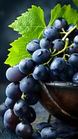 Fresh dark purple grapes with water drops and green leaves in wooden bowl on black background, macro shot showing detailed texture of ripe fruit.