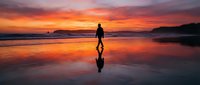Silhouetted surfer holding board on wet beach at dramatic sunset with vibrant orange and purple sky reflected in water, coastal adventure and water sports lifestyle.