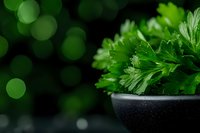 Fresh parsley leaves in black ceramic bowl against dark background with green bokeh lights, macro food photography for culinary and restaurant menus.