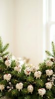 Miniature white felt sheep ornaments nestled among evergreen branches and pinecones against a soft beige wall with natural window light, creating a festive holiday decoration arrangement.