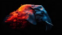 Artistic elephant head profile with dramatic color contrast effect, combining fiery red particles and cool blue tones against black background, creating surreal wildlife art.