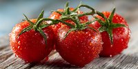 Fresh ripe red tomatoes with water droplets on vine, organic vegetables on rustic wooden surface for healthy cooking and farm-to-table cuisine.