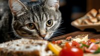 Adorable tabby kitten with bright yellow eyes lying next to fresh pizza slice with melted cheese and toppings on wooden table in cozy kitchen setting.