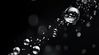 Floating soap bubbles on black background with bokeh effect create magical atmosphere. Crystal clear spheres reflect light in monochrome composition.