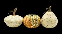 Three decorative autumn pumpkins and gourds isolated on transparent background, ready for fall harvest clipart, T-shirt design, stickers, and print on demand use.
