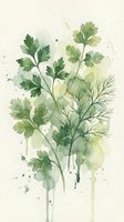 Watercolor herbs parsley and dill with green splashes on beige background for culinary design and kitchen decor.