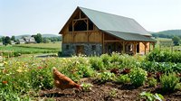 Rustic wooden barn with metal roof surrounded by organic vegetable garden and free-range chickens in countryside farm setting with rolling hills background.