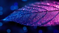 Macro shot of dark leaf covered in water droplets illuminated by vibrant pink and blue neon lights creating magical bokeh effect and glowing atmosphere.