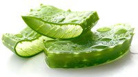 Fresh aloe vera plant leaves with water drops, cut into pieces showing translucent gel inside. Natural organic skincare and wellness concept perfect for cosmetic and beauty advertising.