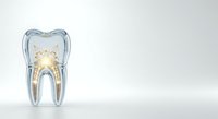 Transparent tooth cross-section showing internal anatomy with pulp chamber and root canals, isolated on white background for dental education, healthcare presentations, and medical design projects.