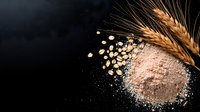 Fresh wheat ears next to scattered flour and grains on dark background, dramatic food photography composition with natural ingredients for baking and cooking.