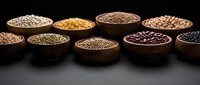 Assorted legumes and grains in wooden bowls on dark surface, including lentils, beans, and seeds for cooking and nutrition.