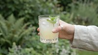 Unrecognizable person holding glass of refreshing lemonade with mint and ice outdoors in garden setting, summer beverage concept.