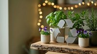 Small potted herbs and houseplants arranged on rustic wooden shelf with warm bokeh lights creating cozy sustainable living atmosphere for home decor.
