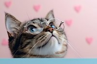 Curious cat wearing glasses looking up against pink background with heart decorations, expressing intelligence and playful mood. Blue eyes and striped fur pattern.